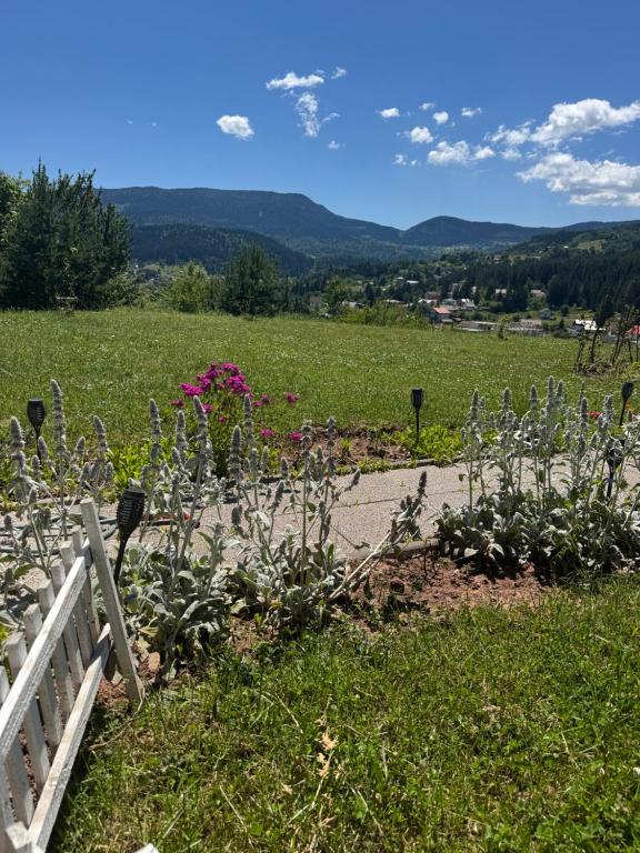 Villa Selzo lux - 5