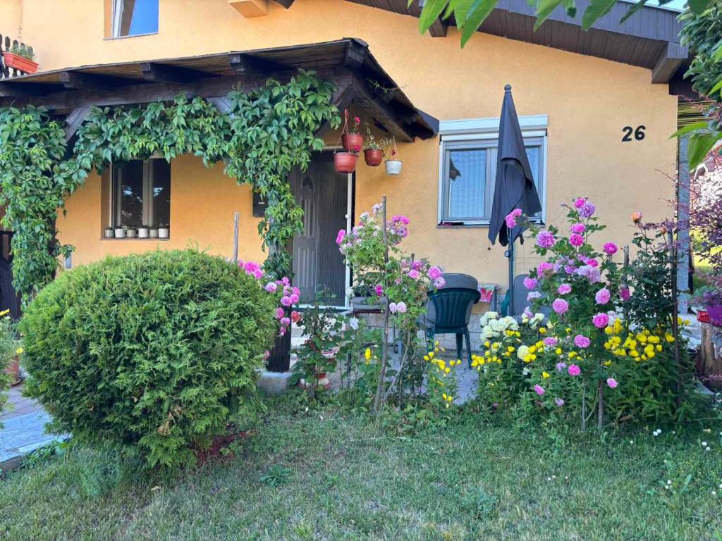 Apartmani Rada - 4