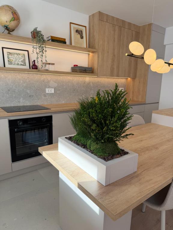 Aura Apartment - 3