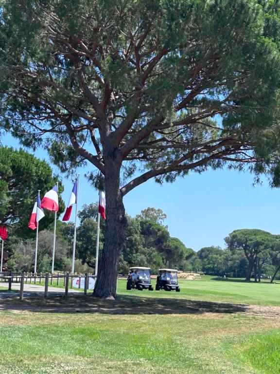 Appartement à 2 pas du golf Cannes Marina - 5
