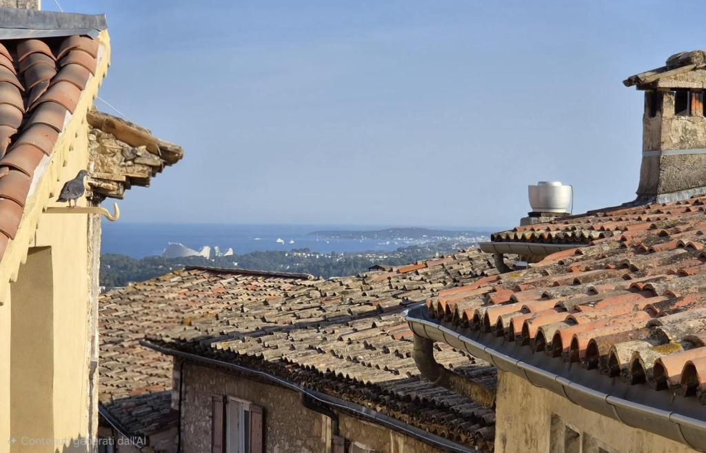 Charming Air-Conditioned Flat in Saint-Paul-de-Vence village - 5