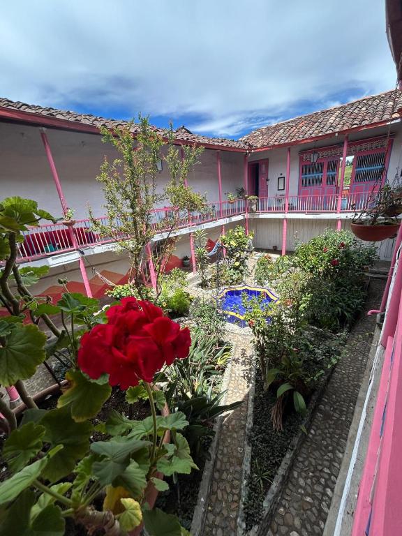 La Casa Rosada Hostel - 2