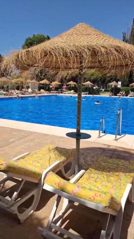 Estudio Boutique muy acogedor en Benalmádena - 1