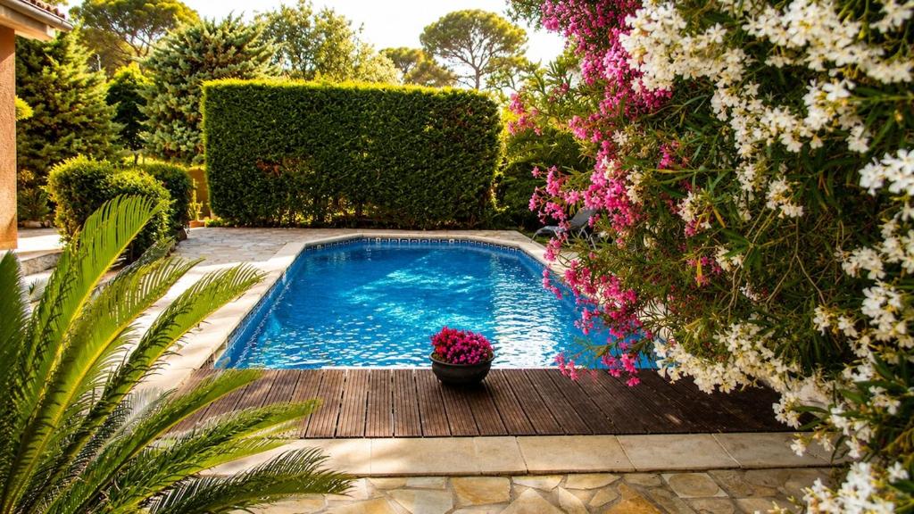 Villa Mistral in Santa-Lucia - 1