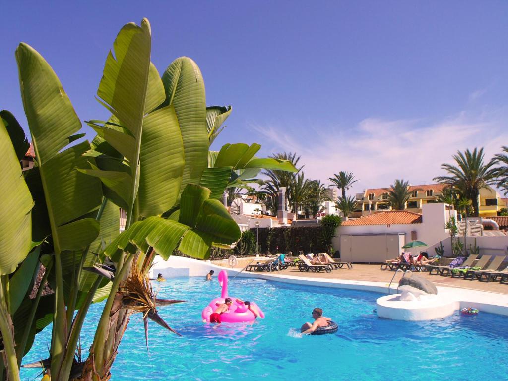 Apartment in Paraiso Royal - 1