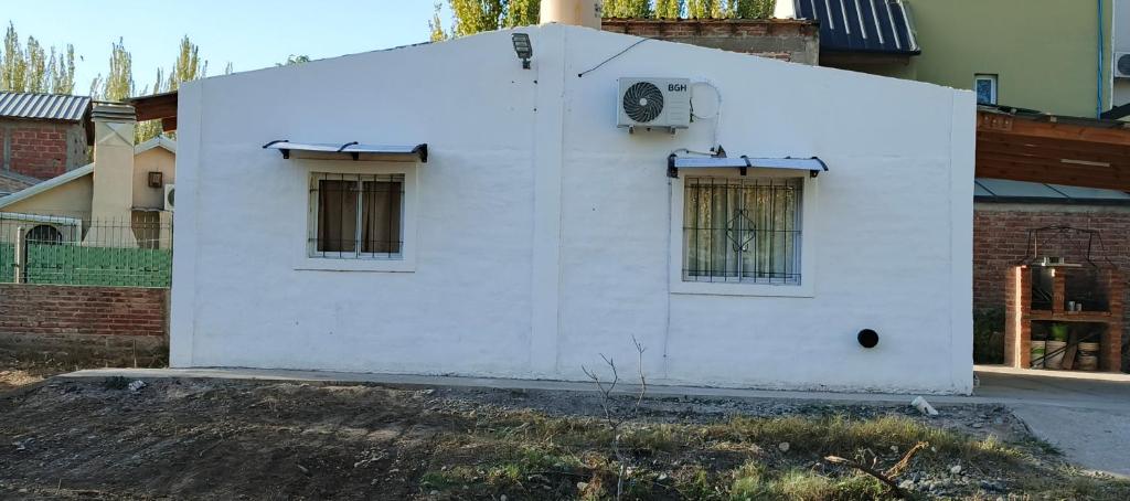 Palo Blanco - 2