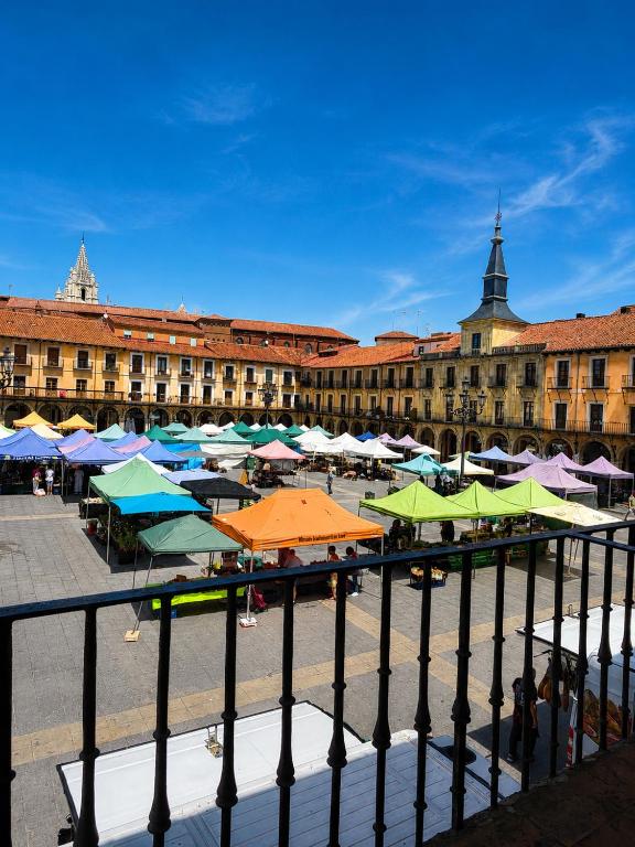 Arquitecto de la Vida I - Plaza Mayor - 4