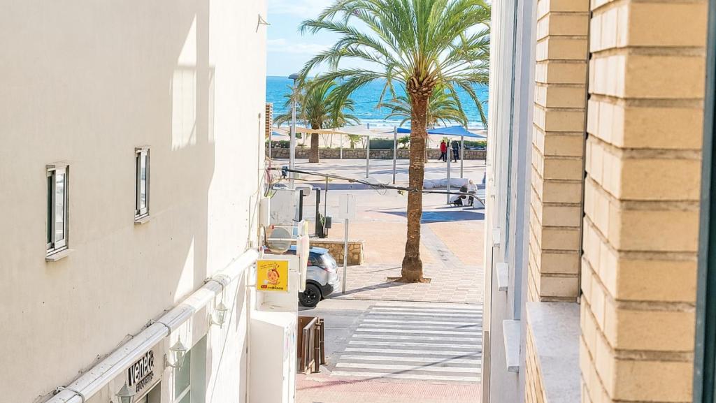 Apartamento primera linea de playa - 5