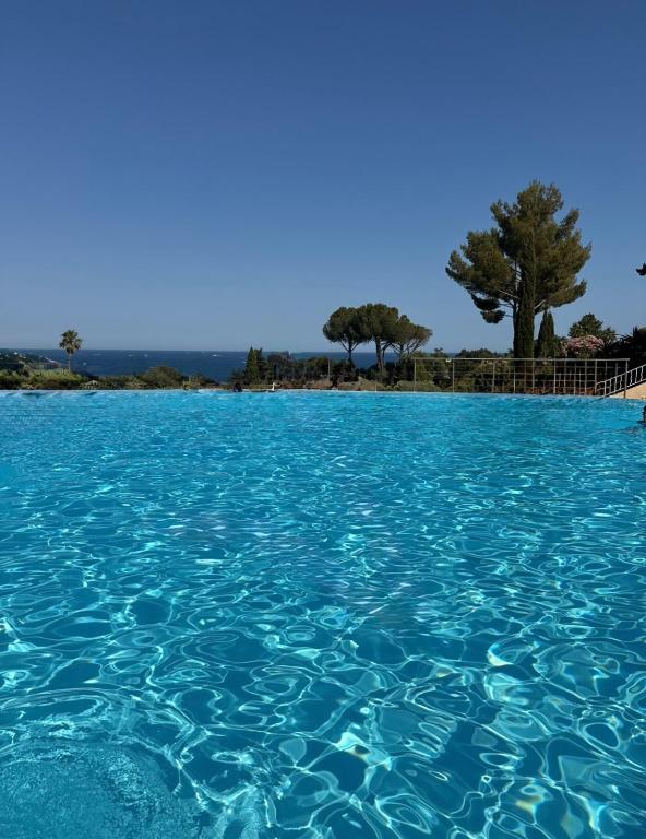 Appartement rénové rare au centre du village de Cap Esterel - 4