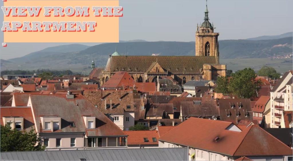 Colmar TOP - 3