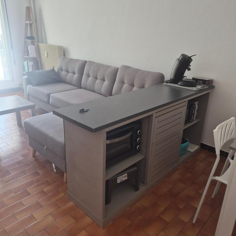appartement entier avec terrasse - 3