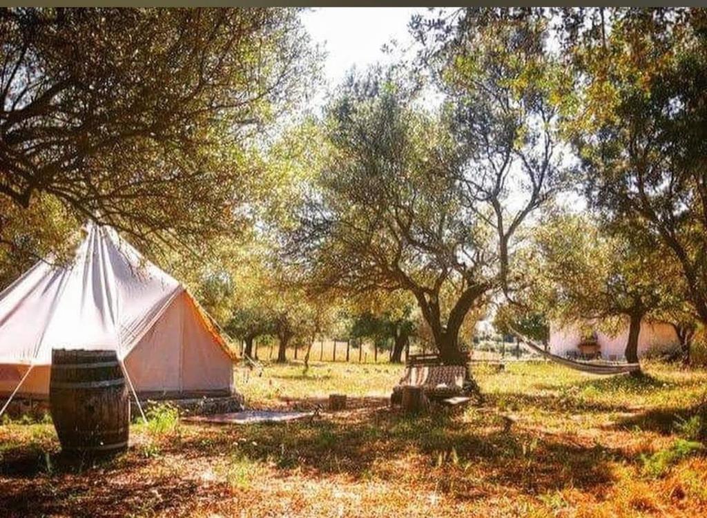 Carrubbella glamping & country village - 3