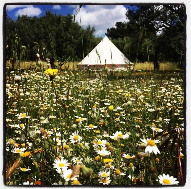 Carrubbella glamping & country village - 5