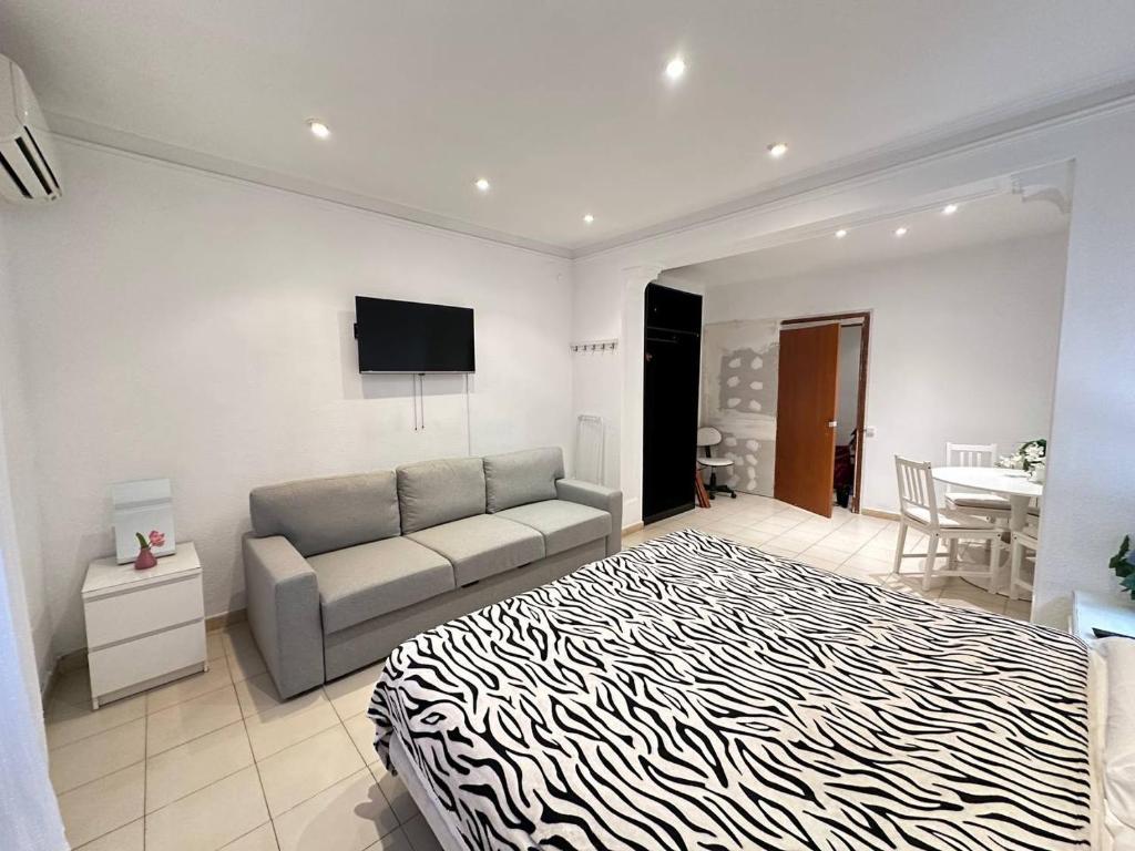 Consell Habitaciones - 1