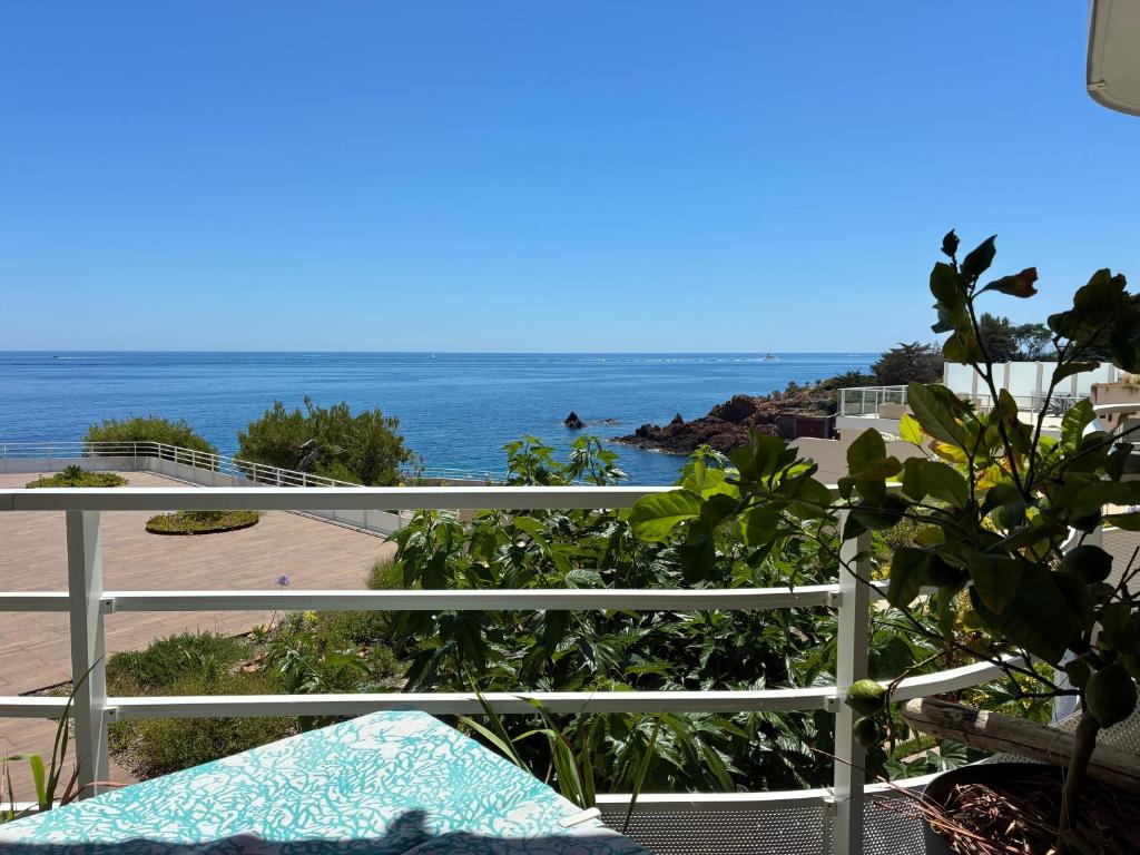 Studio calme vue mer pieds dans l'eau - 4