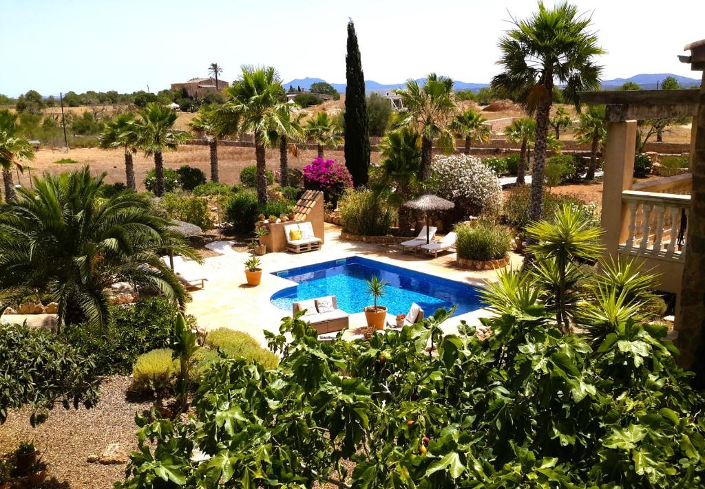 Finca Alqueria Fosca - 3