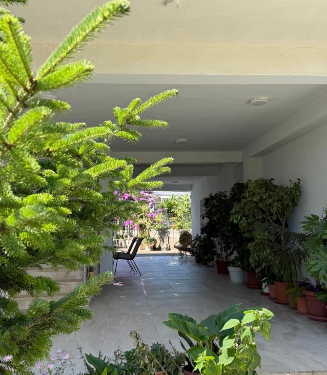 Apartments Jori - 4