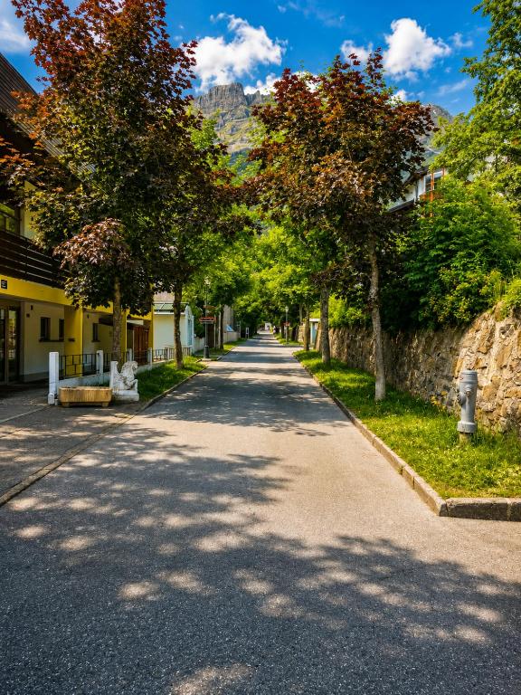 Schlossli-Le Petit Chateau - 4