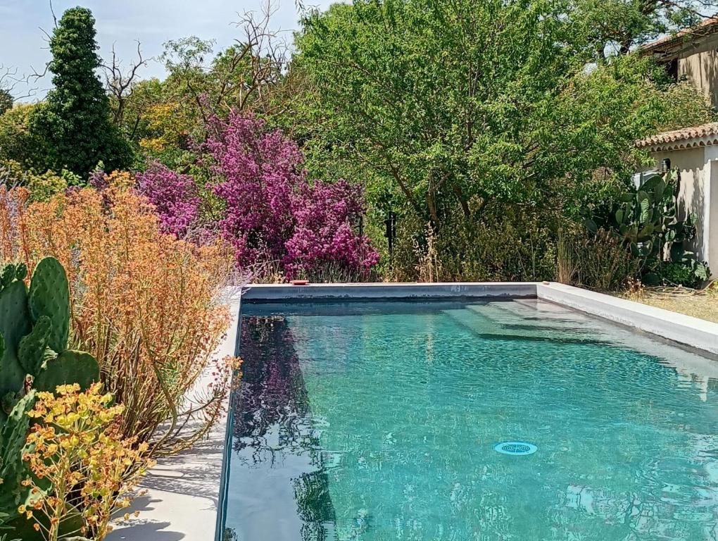 Domaine de Manteau-Bleu - 3