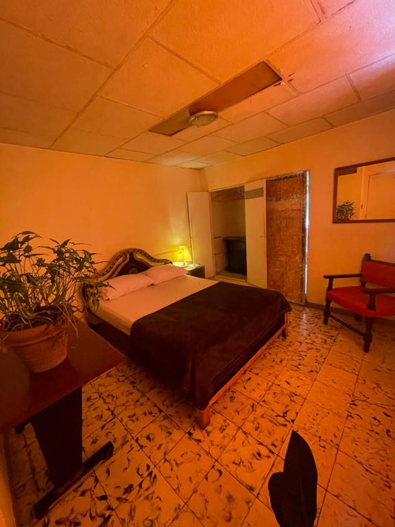 Hostal Casa Las Tías - 4