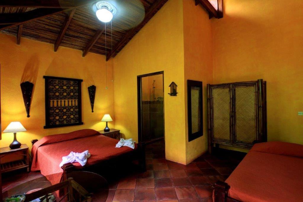 Hotel La Palapa Eco Lodge Resort photo