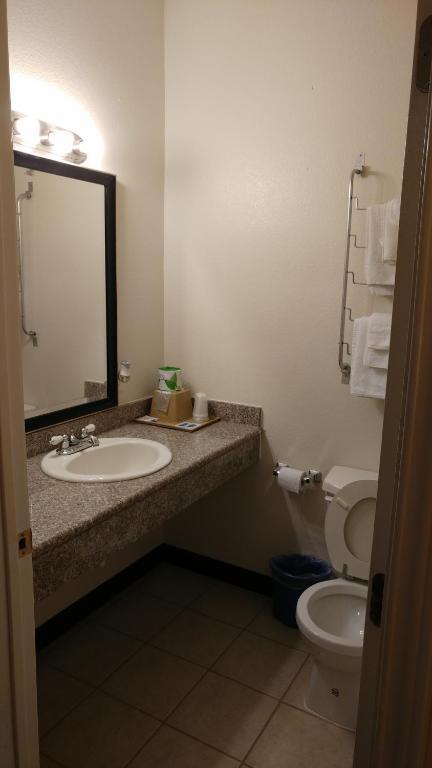 Country Regency Inn & Suites photo