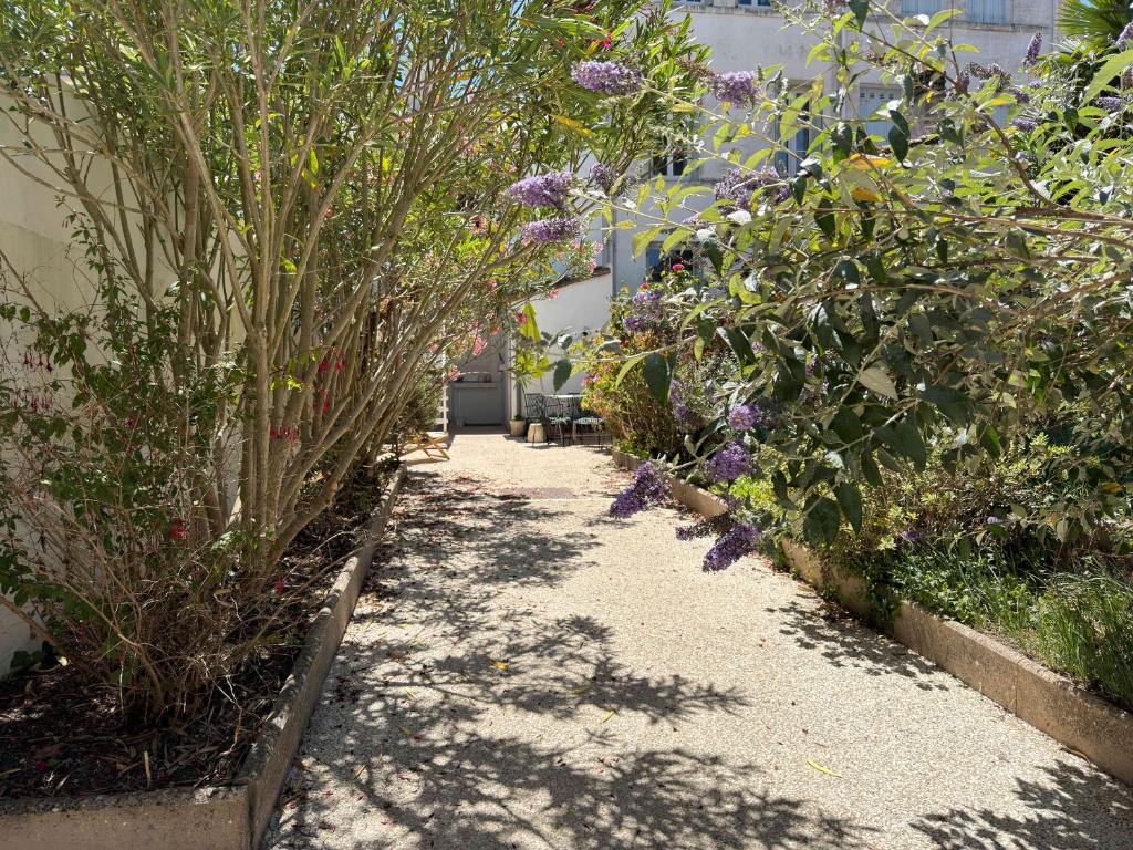 Appartement charmant proche plage - 2 pers. - FR-1-71-113 - 1