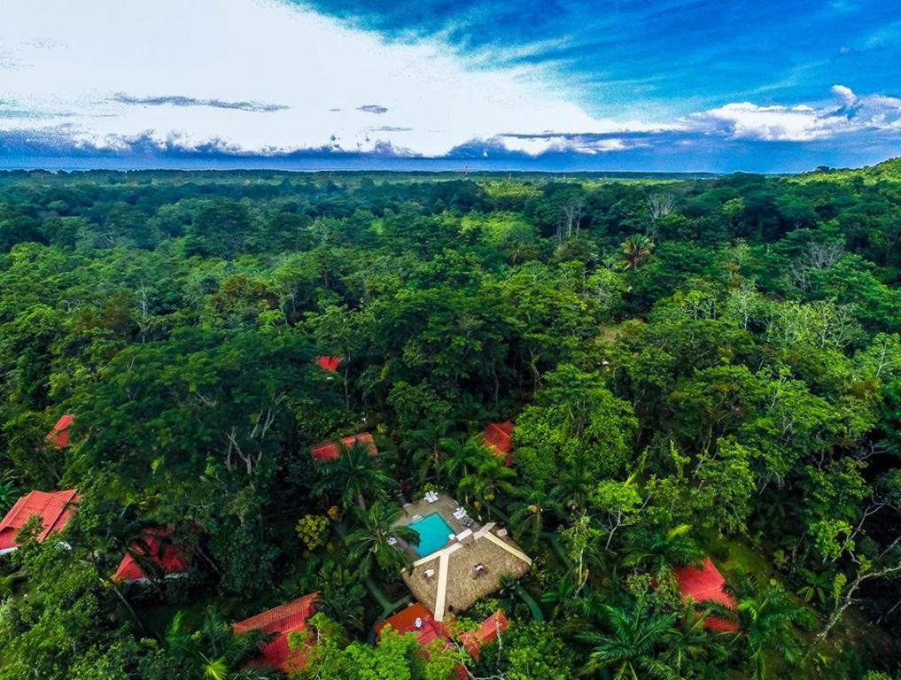 Hotel La Palapa Eco Lodge Resort photo