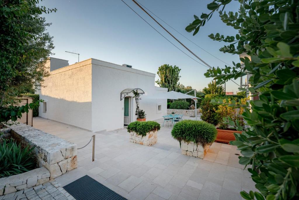 A casa di Antonia - Ulivo - 1