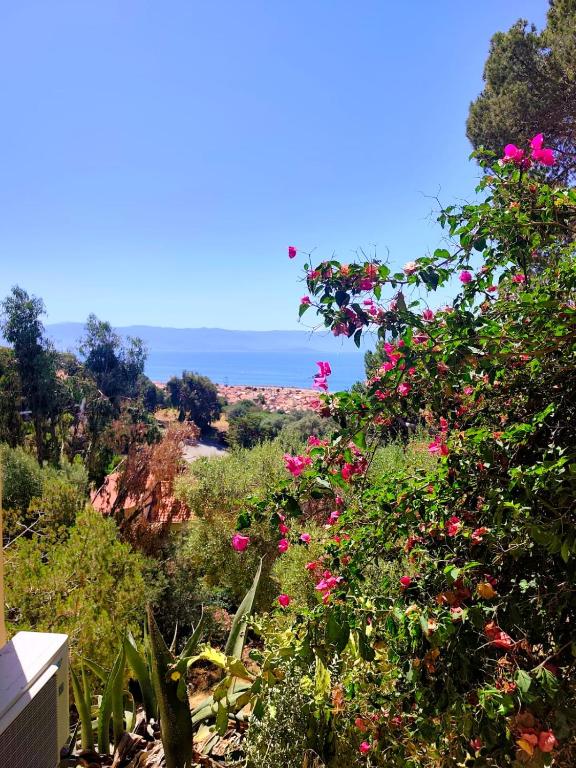 Premium - 1 bedroom apartment - Panoramic Sea View at Les Sanguinaires - 3