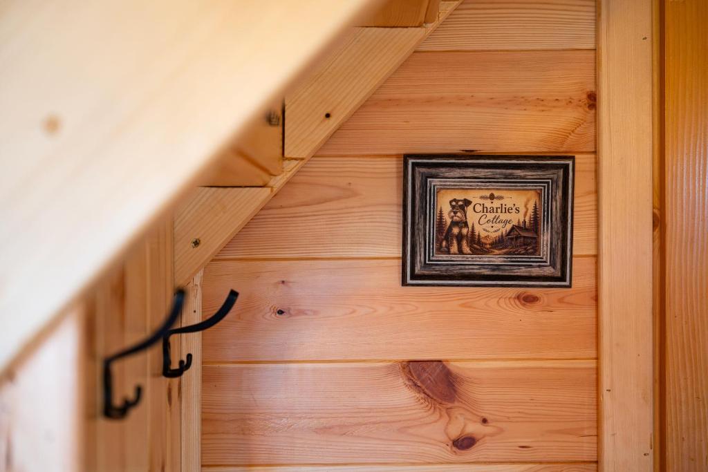 Charlie's Cottage - Čarlijeva koliba - 5