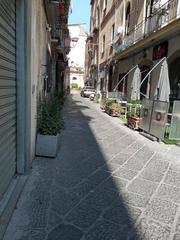 Civico 5 - 3