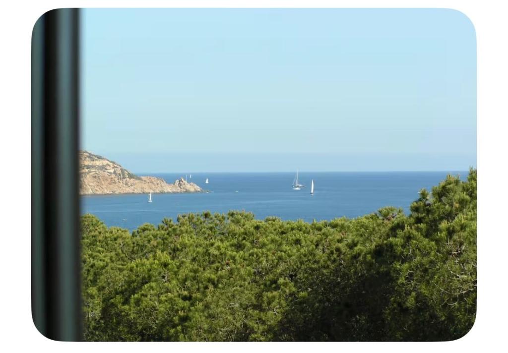 Grand T1 Bord de mer - 4