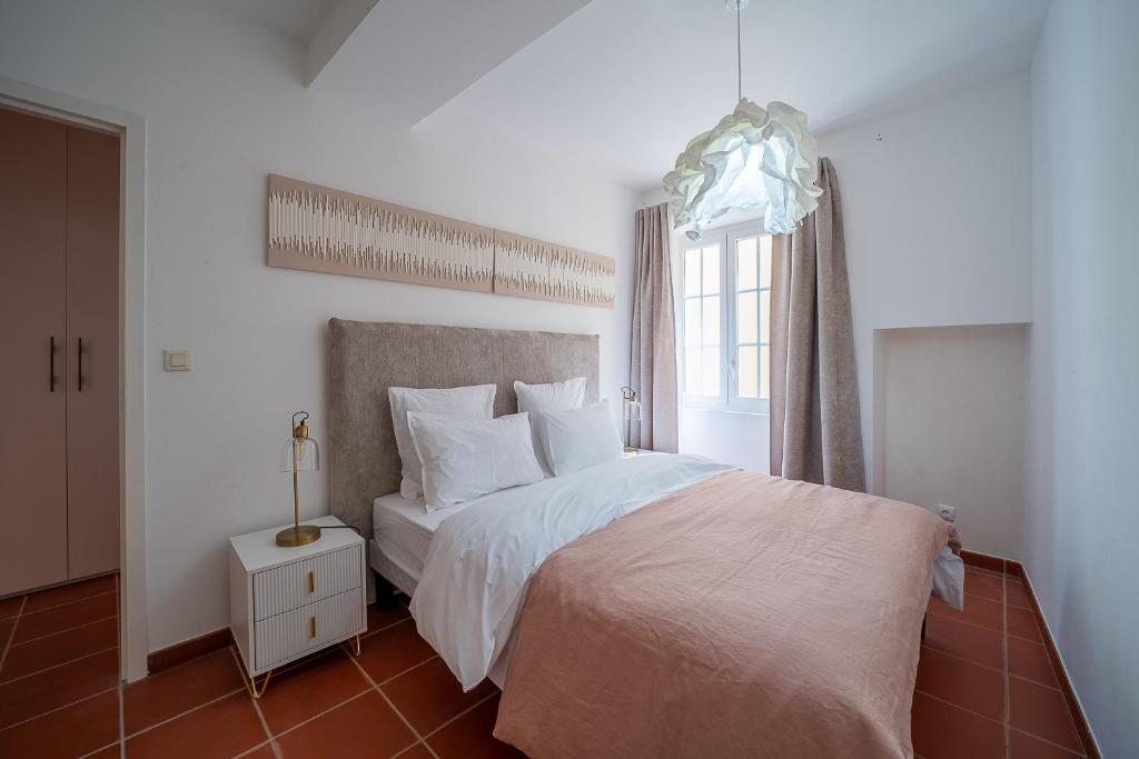 La Rosca - Au centre-ville de Perpignan - 4