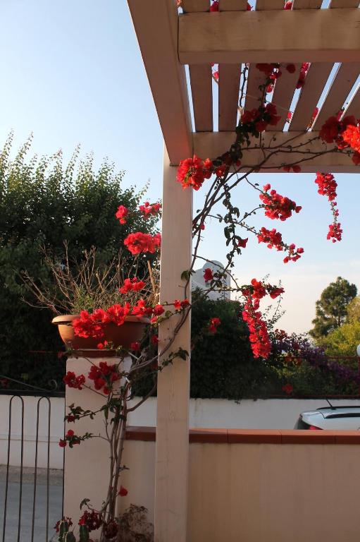 William's Holiday Home- Peschici - 5