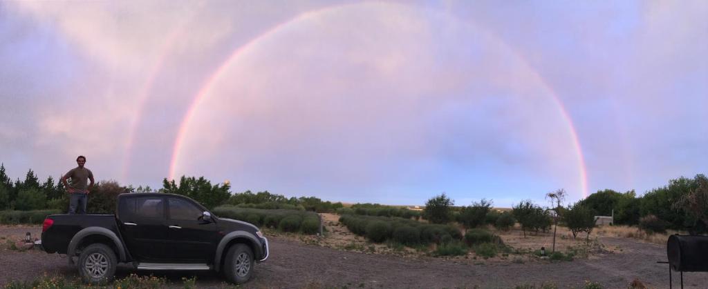 Surrounding environment