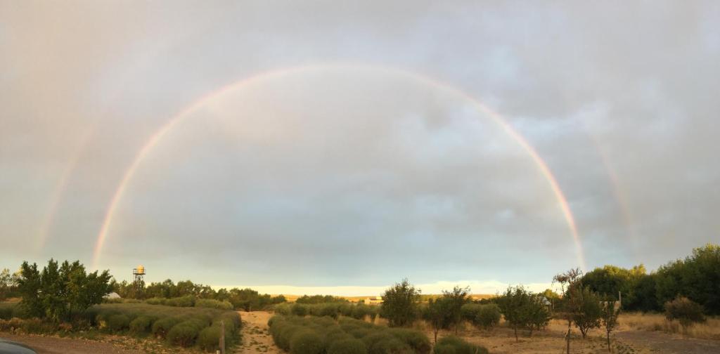 Surrounding environment