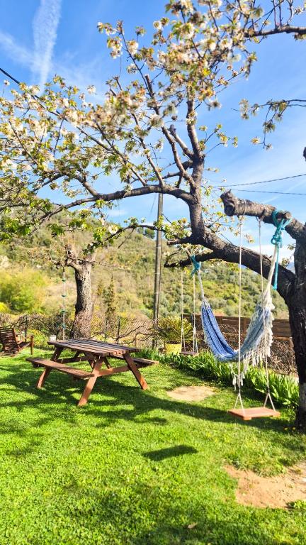 Charmante Villa avec Piscine Jardin et BBQ à 30min de Nice - 2