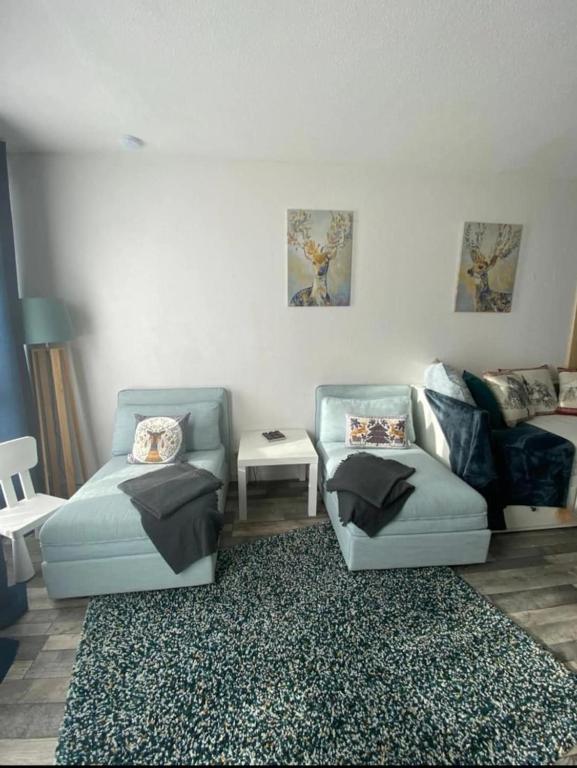 Les balcons de Villard, au pied des pistes - 3