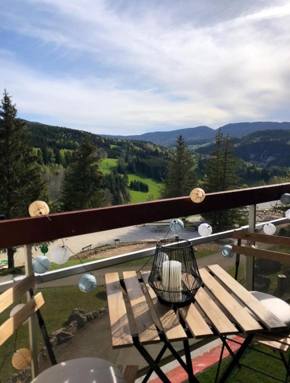 Les balcons de Villard, au pied des pistes - 5