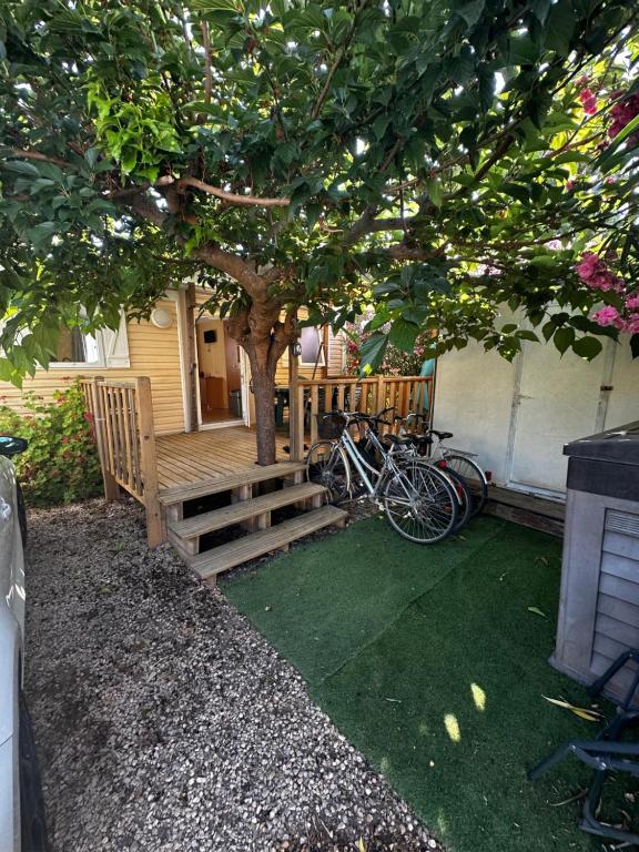 Mobil-home tout confort à Fréjus - 1