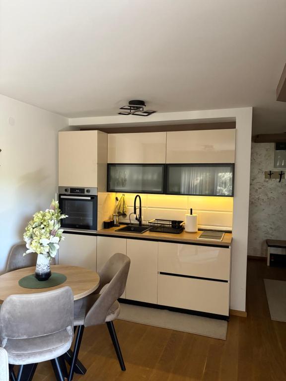 Soul Apartment Vrnjačka Banja - 3