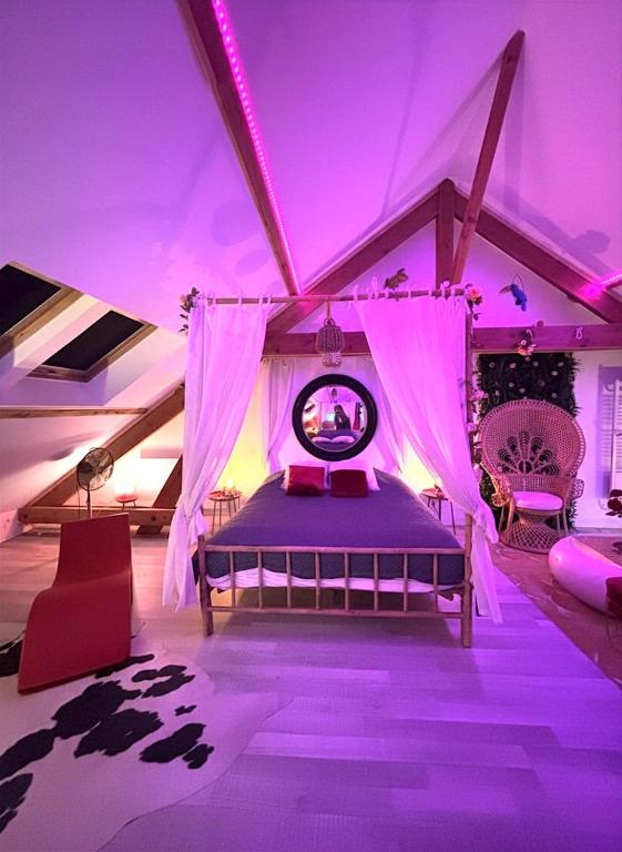 Suite Romantique 45m2-Amiens Centre-SPA & Parking - 4