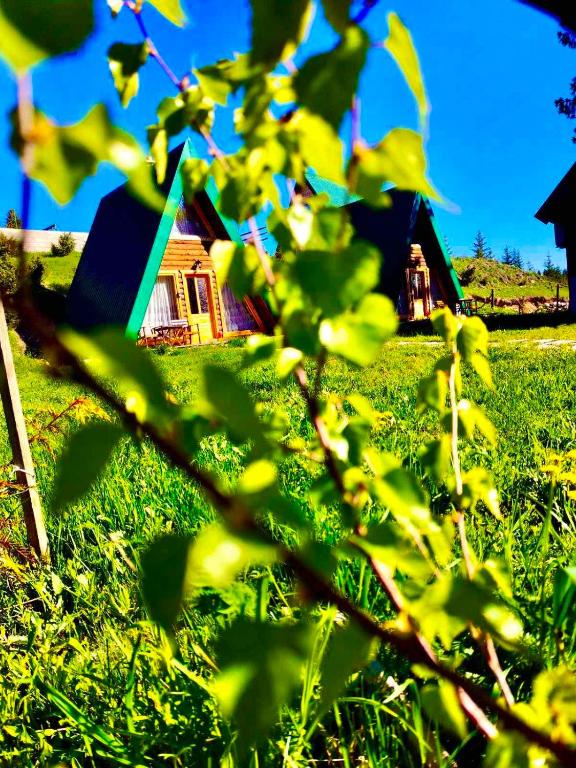 M&K chalets - 5