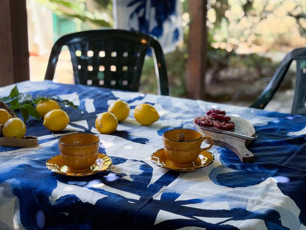 Appartamento Libeccio - HelloElba - 4
