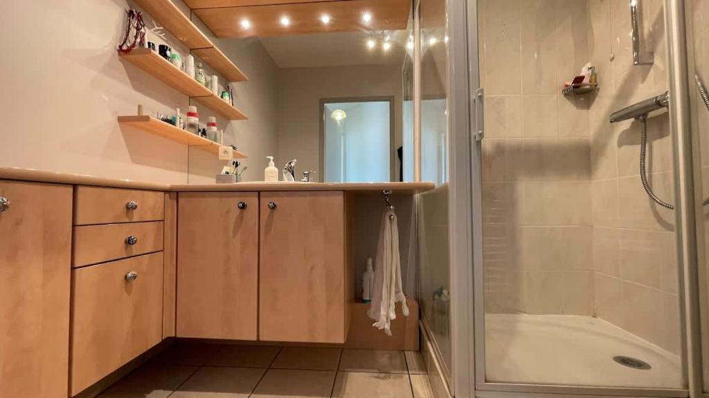 Les Capucines Annecy Appartement T3 ideal pour une famille ou 2 couples - 5
