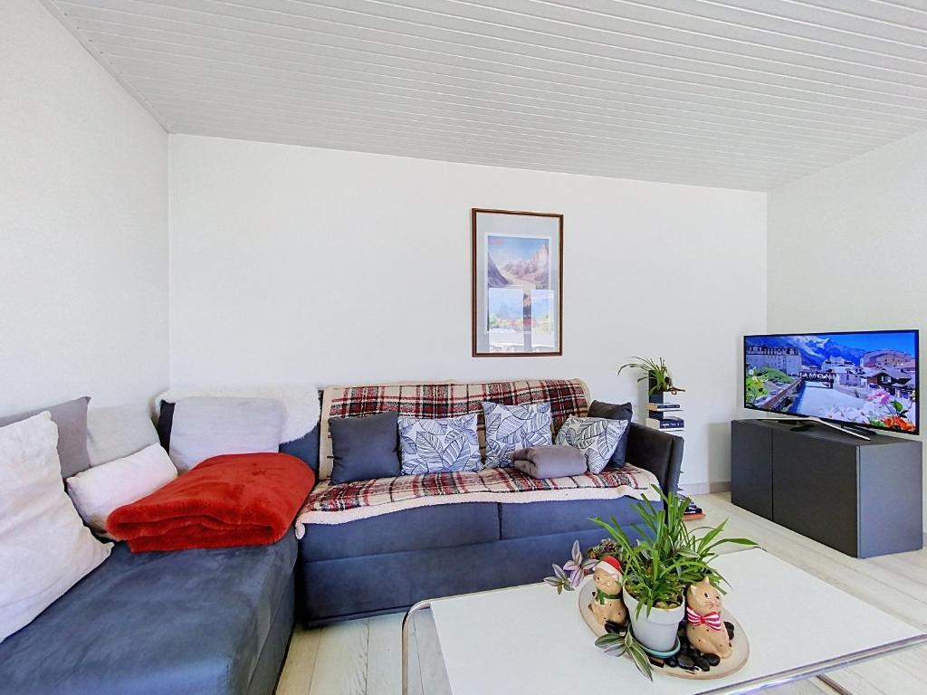 Two bedroom apartment, Hypercenter, terrace Mont Blanc, parking - 4