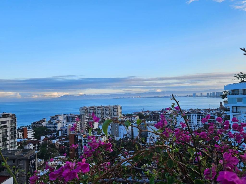 Villa Savana A private Large Group Luxury Mexican Villa minimum 8 suites occupancy - 5