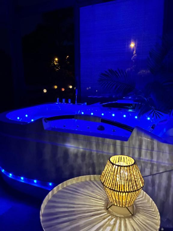 Appart vue Cité, balnéo privée, clim, jardin, parking gratuit - 1