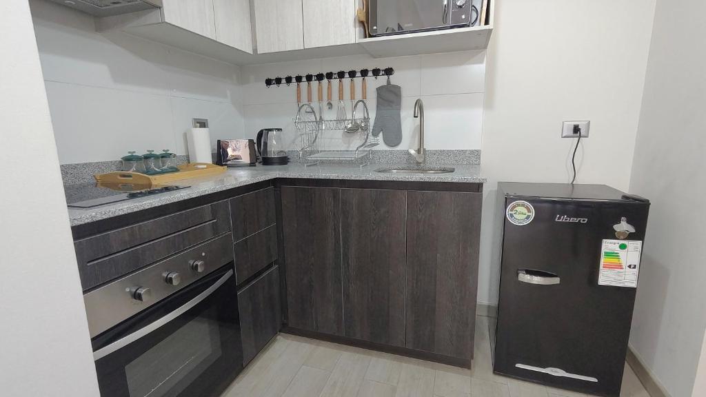 Oceana Suites Refugio en Briones Luco - 3